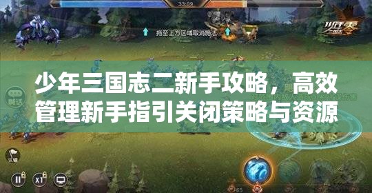 少年三国志二新手攻略，高效管理新手指引关闭策略与资源最大化利用