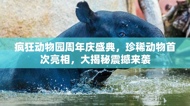 疯狂动物园周年庆盛典，珍稀动物首次亮相，大揭秘震撼来袭