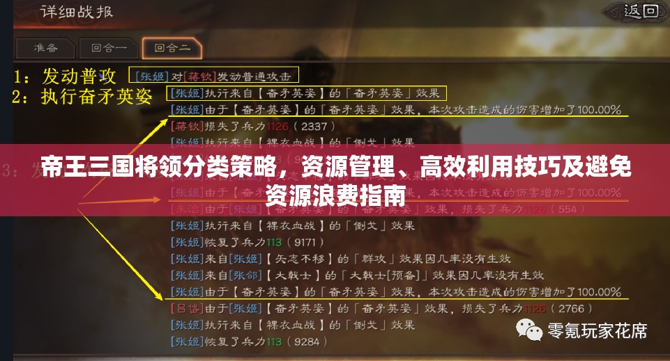 帝王三国将领分类策略，资源管理、高效利用技巧及避免资源浪费指南