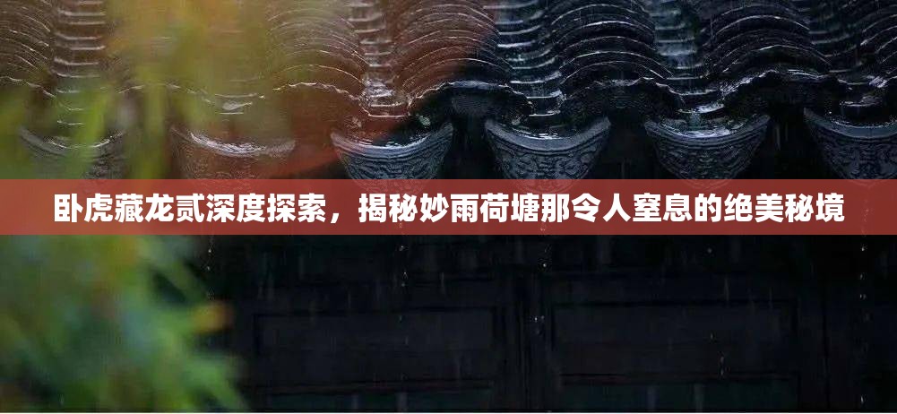 卧虎藏龙贰深度探索，揭秘妙雨荷塘那令人窒息的绝美秘境