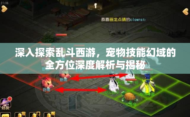 深入探索乱斗西游，宠物技能幻域的全方位深度解析与揭秘