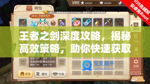 王者之剑深度攻略，揭秘高效策略，助你快速获取顶级高级装备秘籍