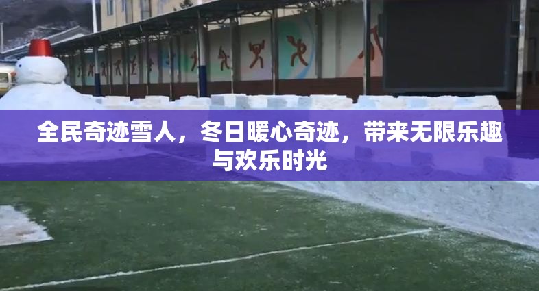 全民奇迹雪人，冬日暖心奇迹，带来无限乐趣与欢乐时光