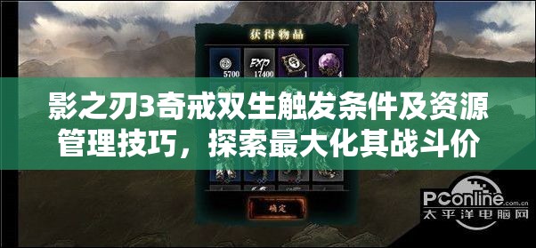 影之刃3奇戒双生触发条件及资源管理技巧，探索最大化其战斗价值策略