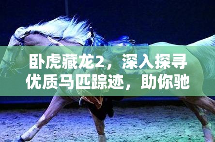 卧虎藏龙2，深入探寻优质马匹踪迹，助你驰骋江湖成就武侠梦想
