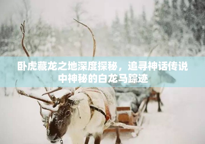 卧虎藏龙之地深度探秘，追寻神话传说中神秘的白龙马踪迹