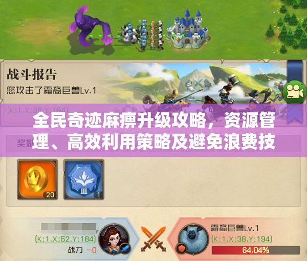 全民奇迹麻痹升级攻略，资源管理、高效利用策略及避免浪费技巧
