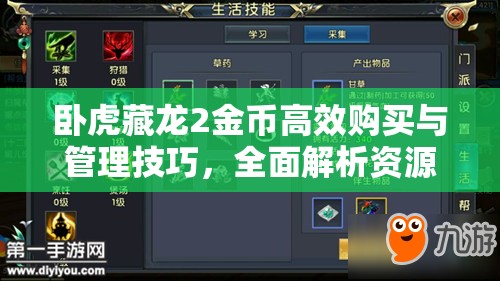 卧虎藏龙2金币高效购买与管理技巧，全面解析资源优化策略