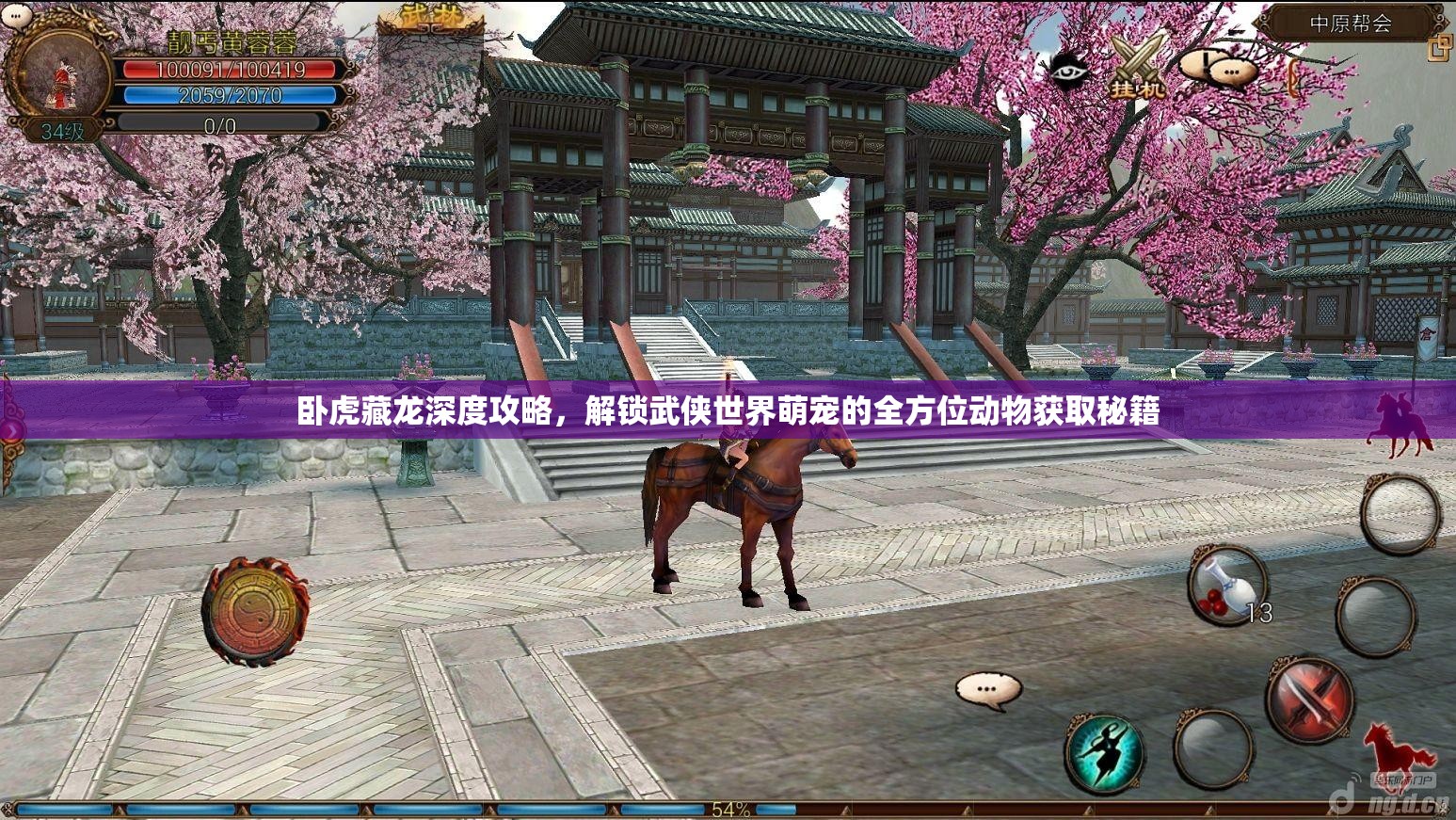 卧虎藏龙深度攻略，解锁武侠世界萌宠的全方位动物获取秘籍