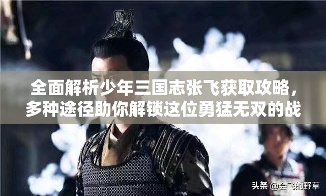 全面解析少年三国志张飞获取攻略，多种途径助你解锁这位勇猛无双的战将