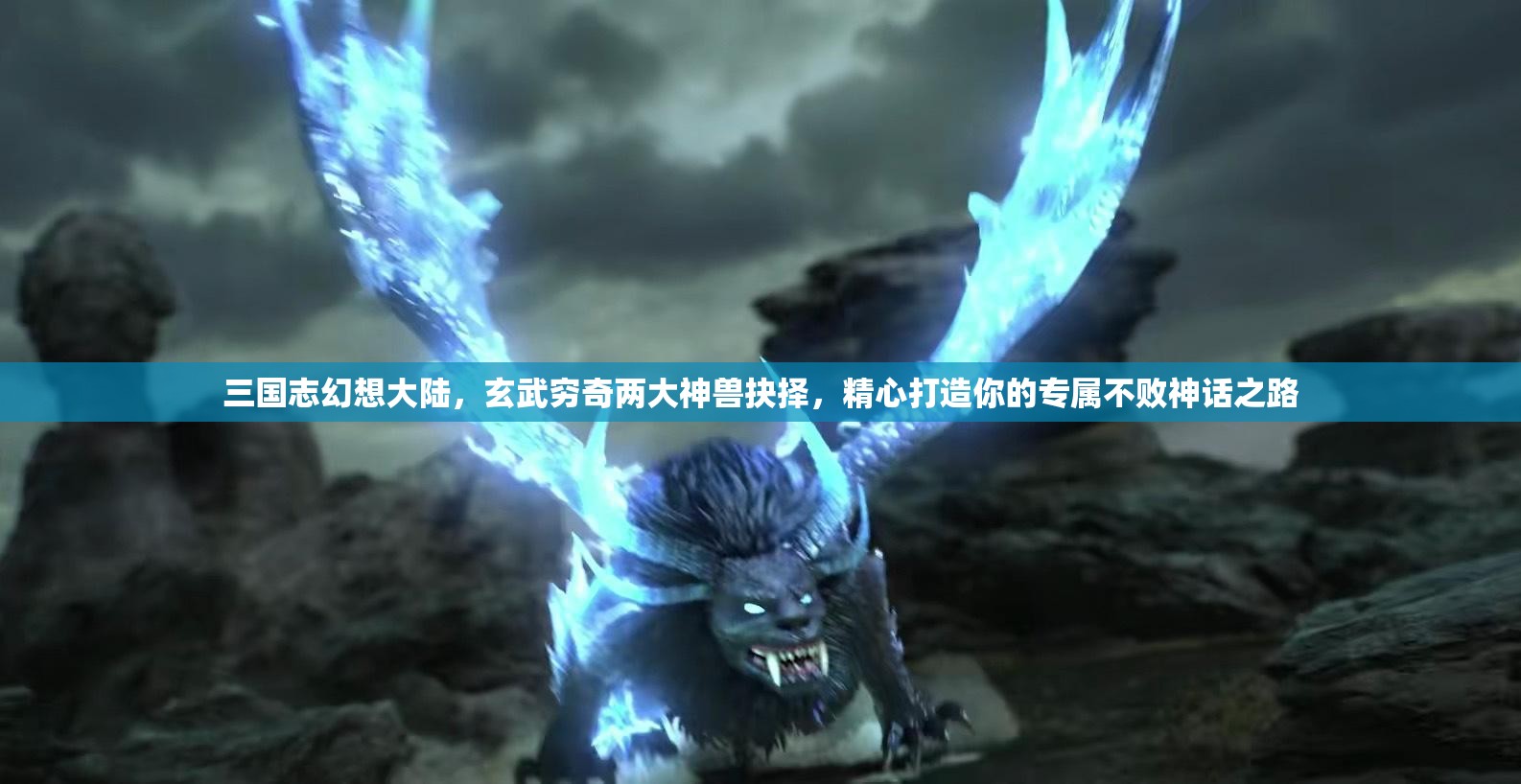 三国志幻想大陆，玄武穷奇两大神兽抉择，精心打造你的专属不败神话之路