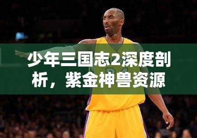 少年三国志2深度剖析，紫金神兽资源管理、高效利用策略及价值最大化指南