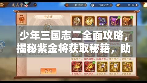 少年三国志二全面攻略，揭秘紫金将获取秘籍，助你打造无敌战斗阵容