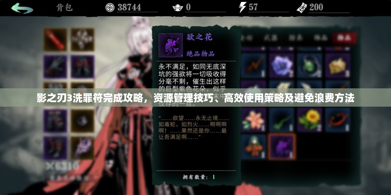 影之刃3洗罪符完成攻略，资源管理技巧、高效使用策略及避免浪费方法