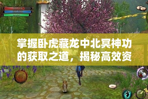 掌握卧虎藏龙中北冥神功的获取之道，揭秘高效资源管理的艺术