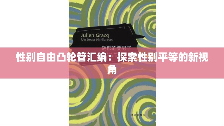 性别自由凸轮管汇编：探索性别平等的新视角
