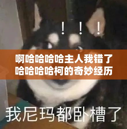 啊哈哈哈哈主人我错了哈哈哈哈柯的奇妙经历