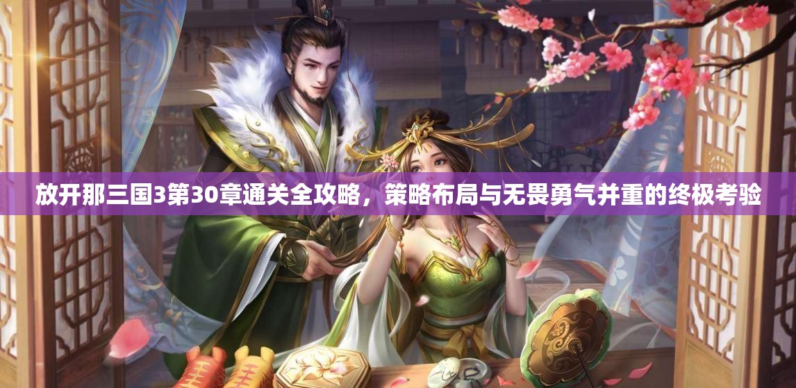 放开那三国3第30章通关全攻略，策略布局与无畏勇气并重的终极考验