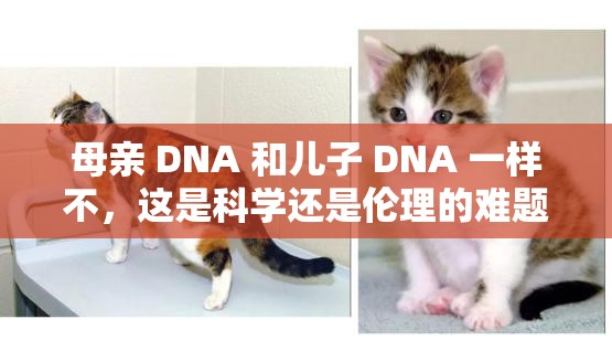 母亲 DNA 和儿子 DNA 一样不，这是科学还是伦理的难题？