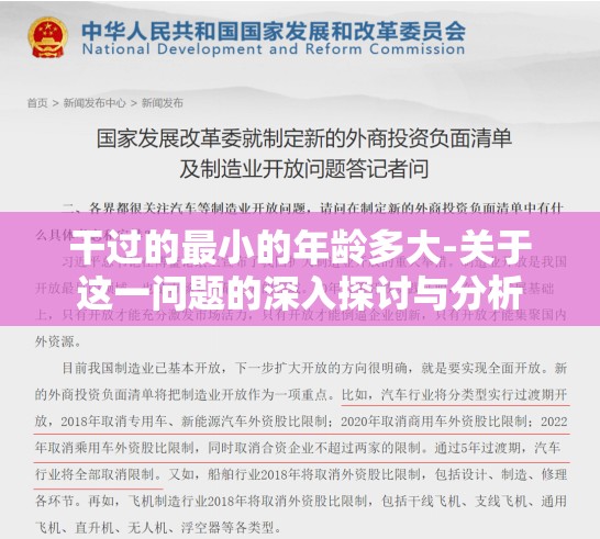 干过的最小的年龄多大-关于这一问题的深入探讨与分析