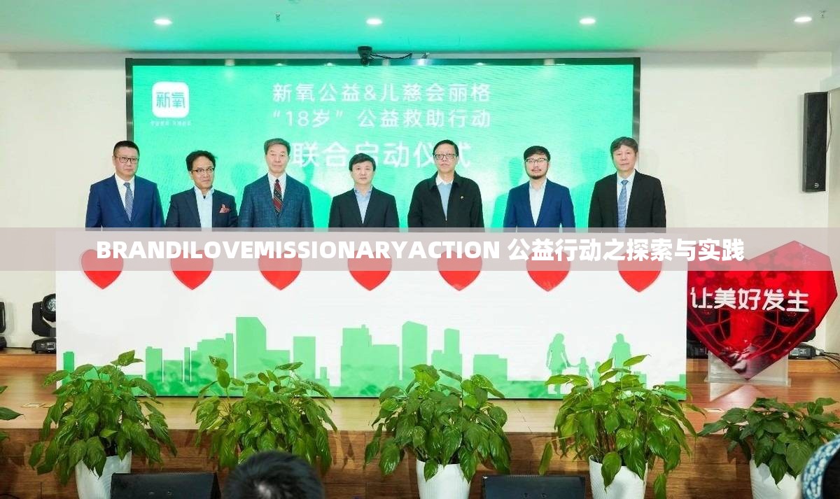 BRANDILOVEMISSIONARYACTION 公益行动之探索与实践