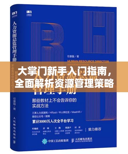 大掌门新手入门指南，全面解析资源管理策略与实战攻略
