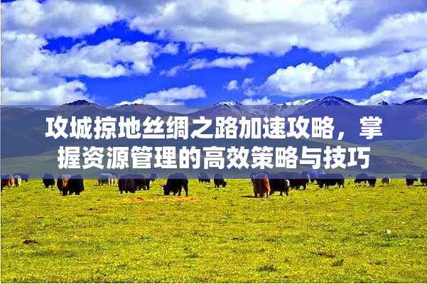 攻城掠地丝绸之路加速攻略，掌握资源管理的高效策略与技巧