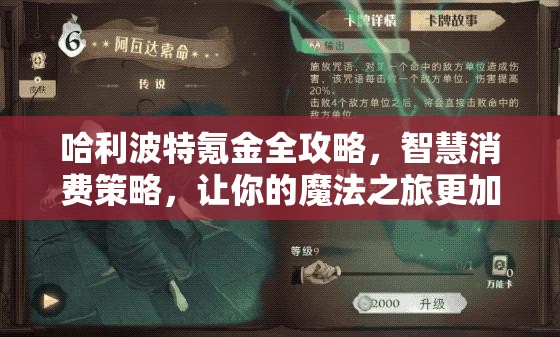 哈利波特氪金全攻略，智慧消费策略，让你的魔法之旅更加绚烂多彩