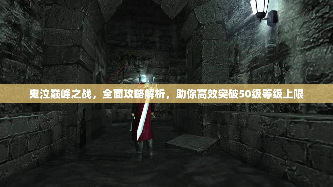 鬼泣巅峰之战，全面攻略解析，助你高效突破50级等级上限