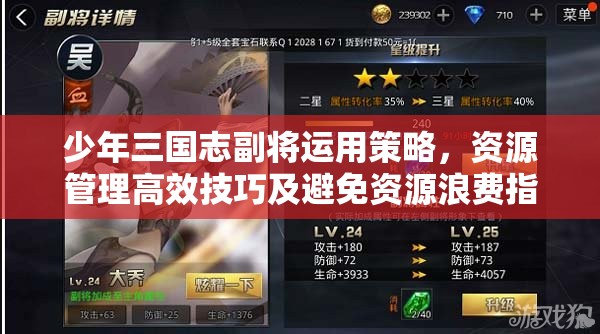 少年三国志副将运用策略，资源管理高效技巧及避免资源浪费指南