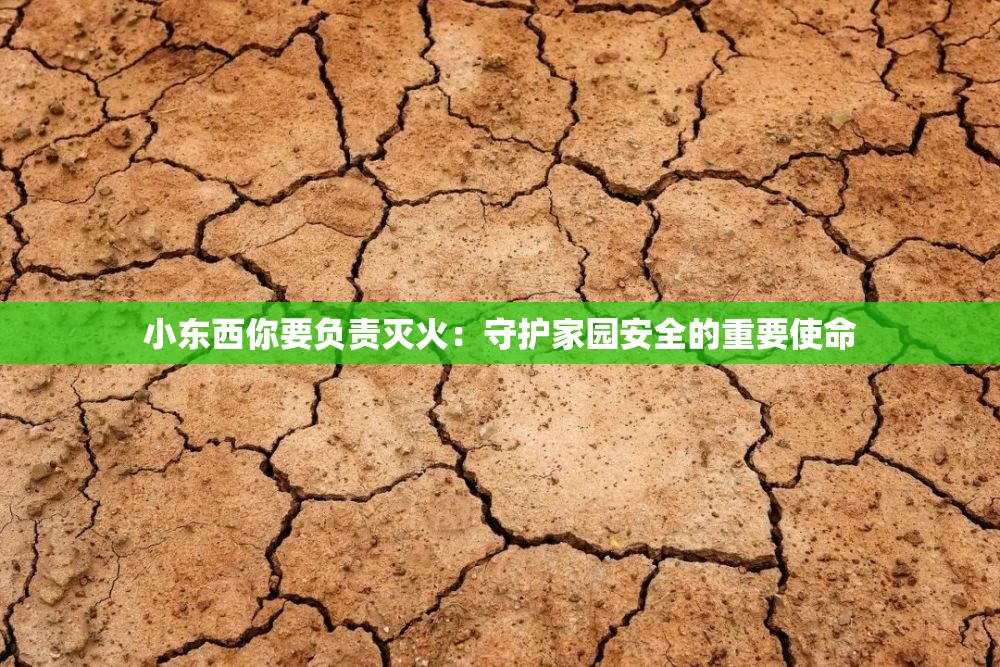 小东西你要负责灭火：守护家园安全的重要使命