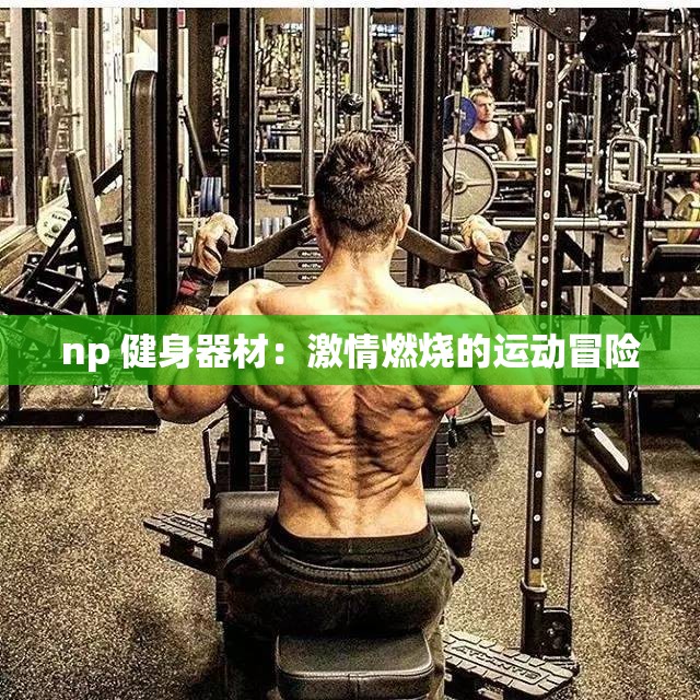 np 健身器材：激情燃烧的运动冒险