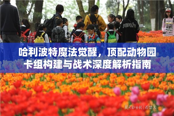 哈利波特魔法觉醒，顶配动物园卡组构建与战术深度解析指南