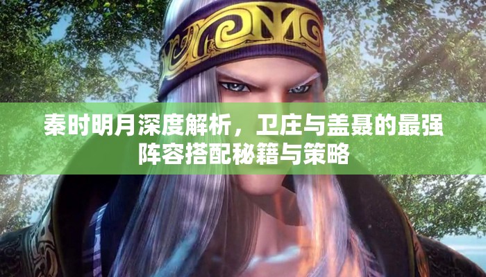 秦时明月深度解析，卫庄与盖聂的最强阵容搭配秘籍与策略