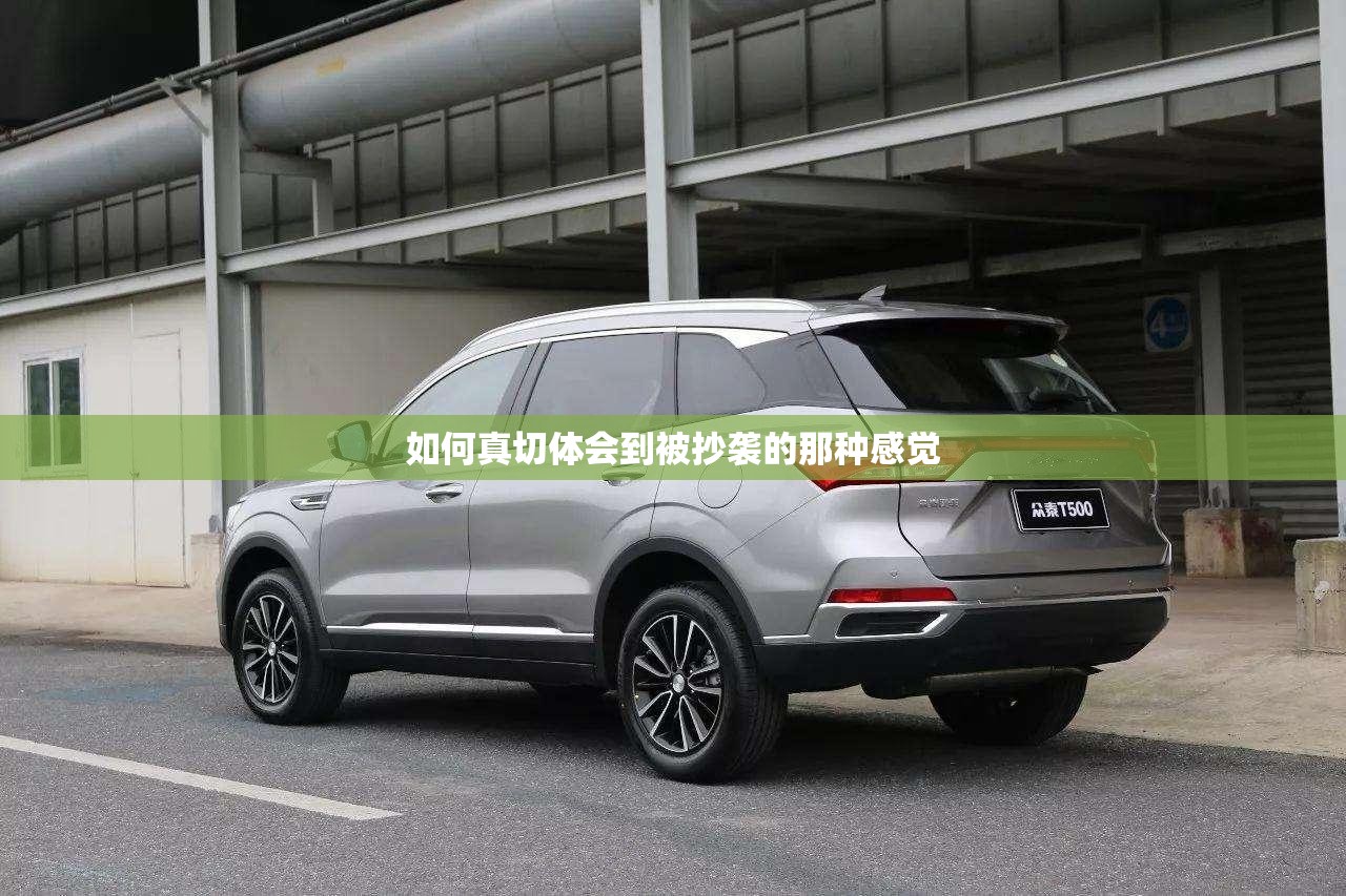 如何真切体会到被抄袭的那种感觉