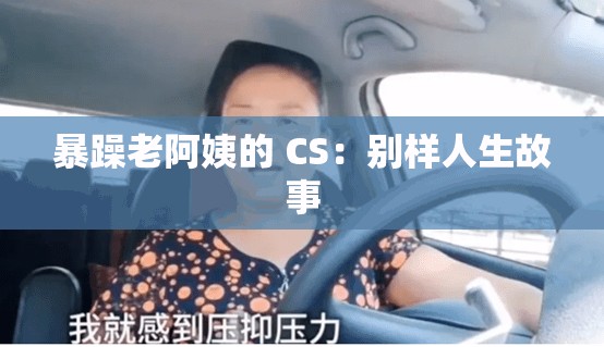 暴躁老阿姨的 CS：别样人生故事