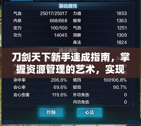 刀剑天下新手速成指南，掌握资源管理的艺术，实现快速入门