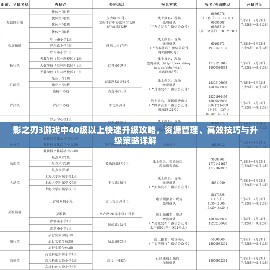 影之刃3游戏中40级以上快速升级攻略，资源管理、高效技巧与升级策略详解