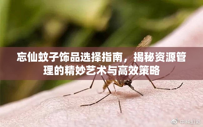 忘仙蚊子饰品选择指南，揭秘资源管理的精妙艺术与高效策略