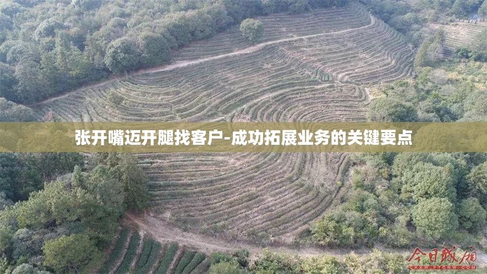 张开嘴迈开腿找客户-成功拓展业务的关键要点