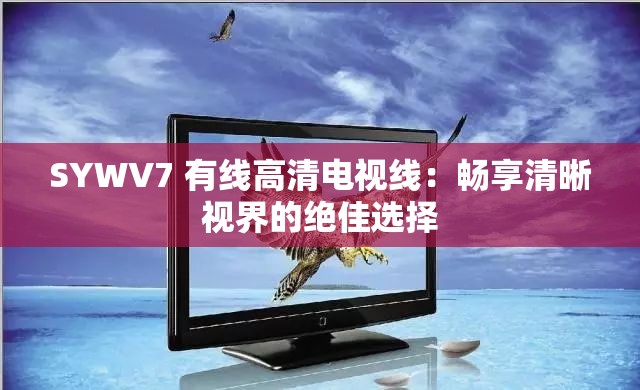 SYWV7 有线高清电视线：畅享清晰视界的绝佳选择