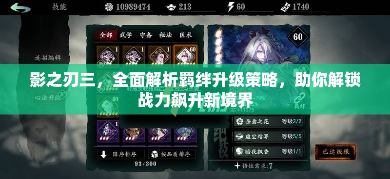 影之刃三，全面解析羁绊升级策略，助你解锁战力飙升新境界