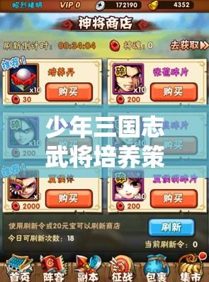 少年三国志武将培养策略，从资源管理视角进行的深度解析与指导