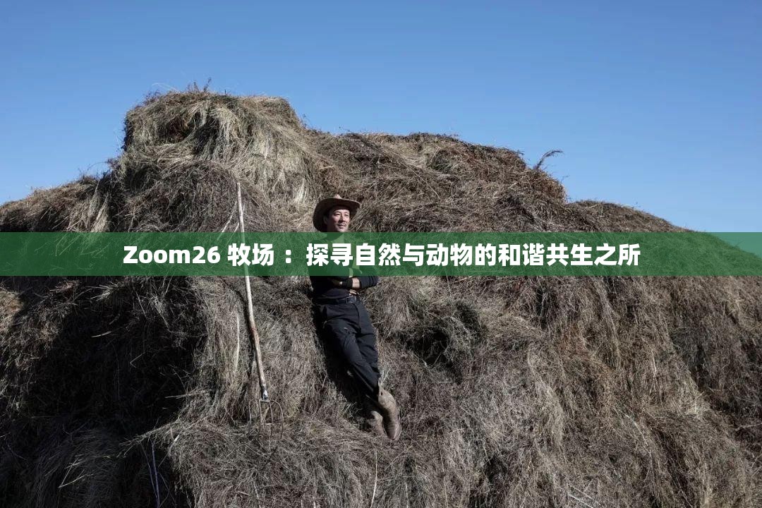 Zoom26 牧场 ：探寻自然与动物的和谐共生之所