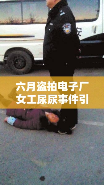 六月盗拍电子厂女工尿尿事件引发广泛关注与热议