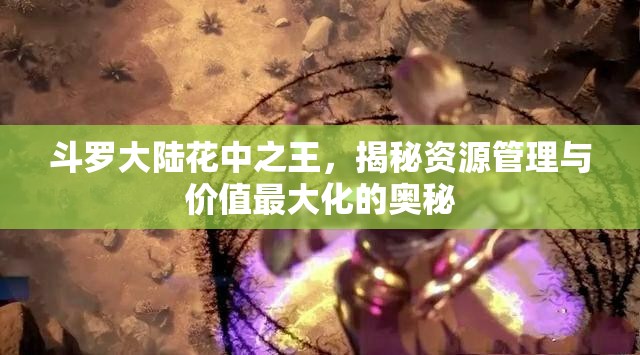 斗罗大陆花中之王，揭秘资源管理与价值最大化的奥秘