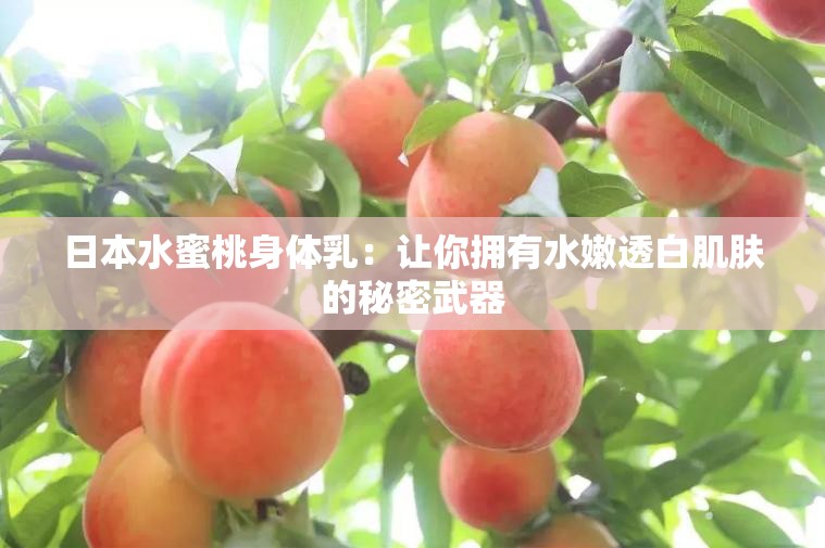 日本水蜜桃身体乳：让你拥有水嫩透白肌肤的秘密武器