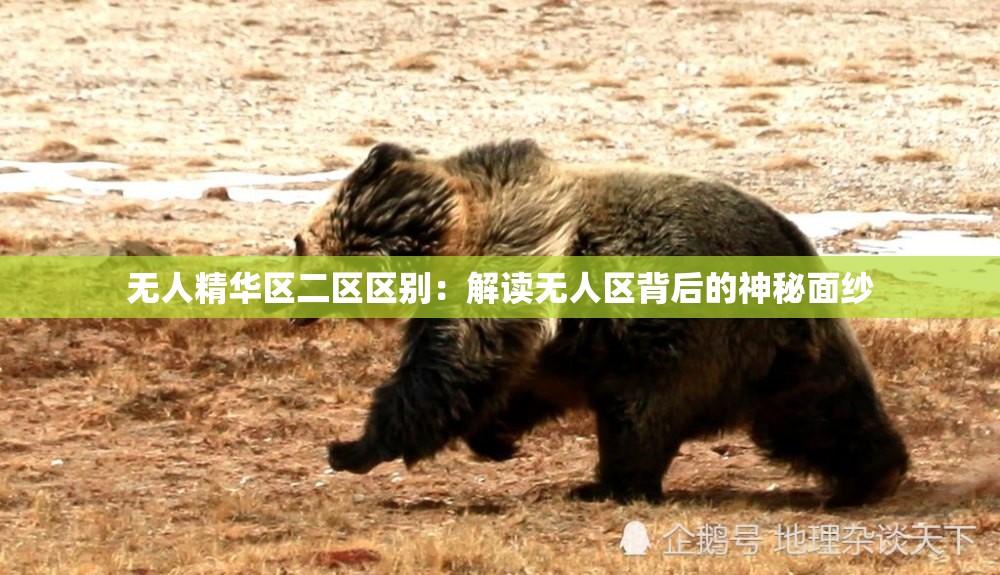 无人精华区二区区别：解读无人区背后的神秘面纱