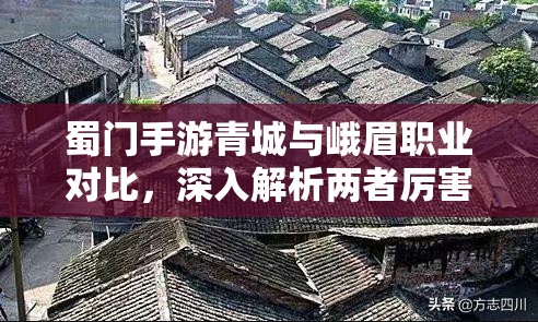 蜀门手游青城与峨眉职业对比，深入解析两者厉害之处及实战技巧