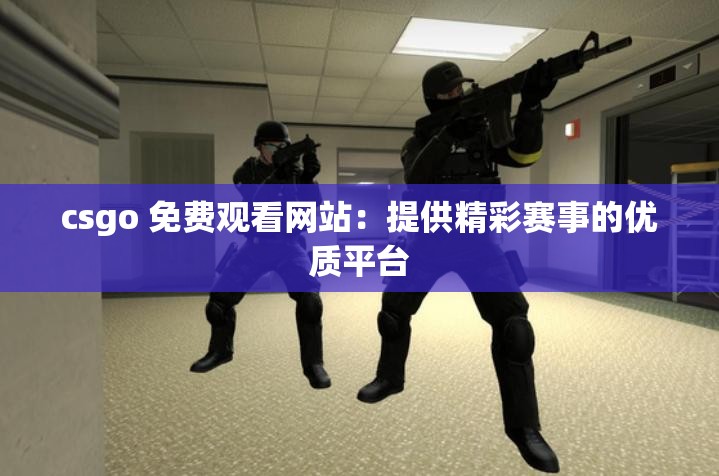 csgo 免费观看网站：提供精彩赛事的优质平台